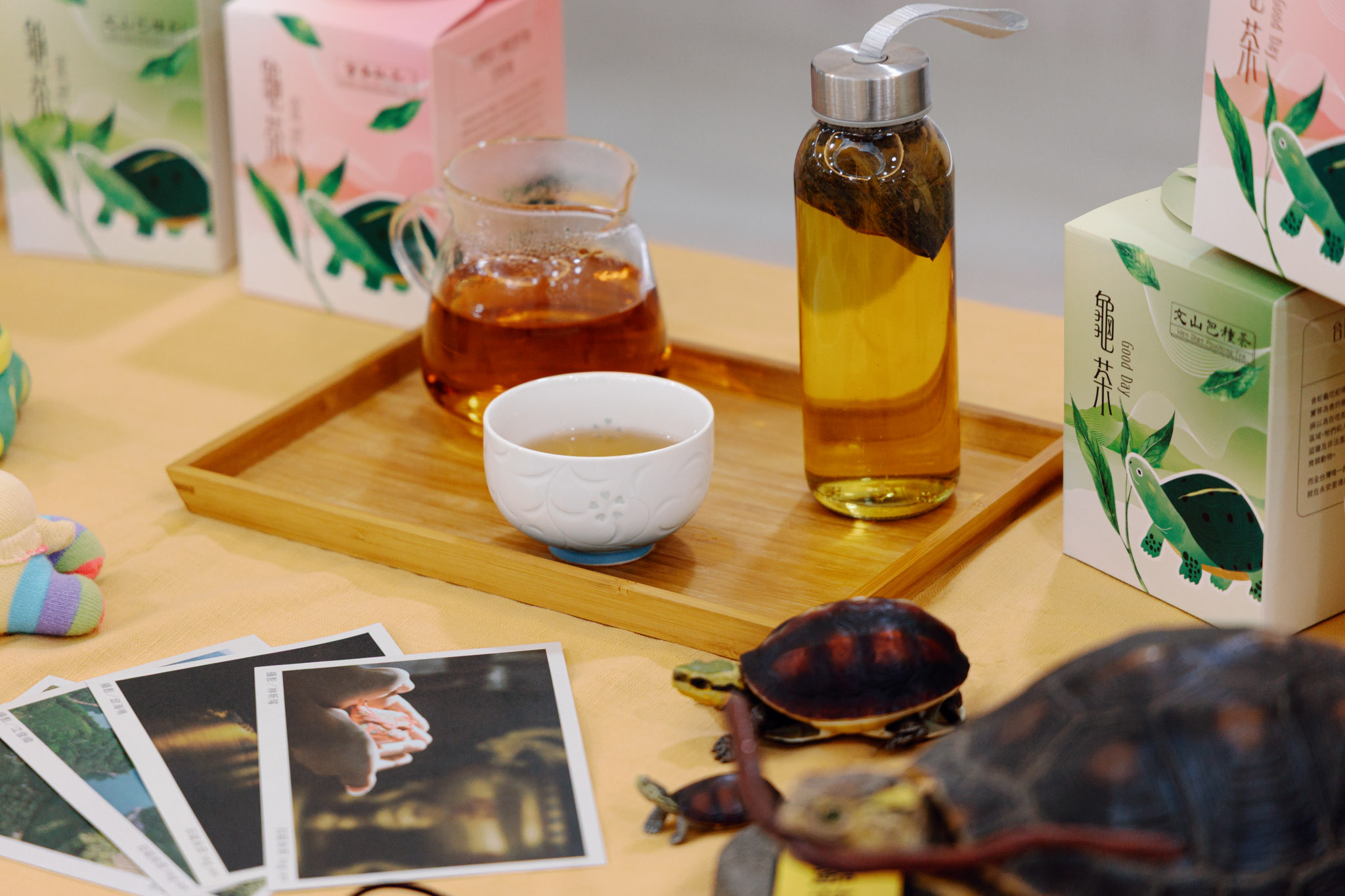 石碇永安社區環境友善茶葉「龜茶Good Day」-1(共29張照片)