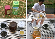 茶園照片