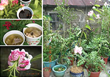 花藝花卉中心照片