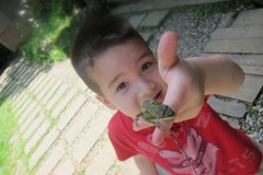 小男孩