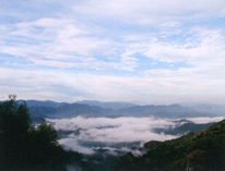 雲海照片