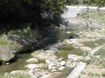 溪景照片