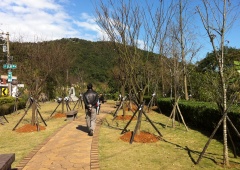 二格公園步道照片