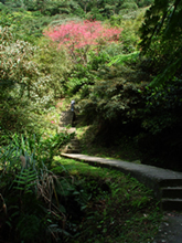 皇帝殿登山步道沿線風景照片（共兩張）